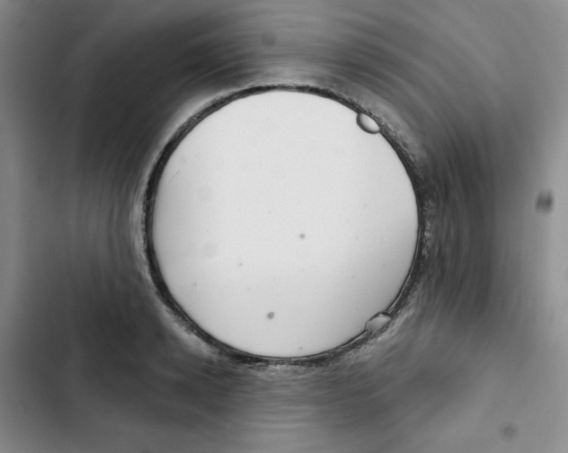 X0000102280942200808221301
