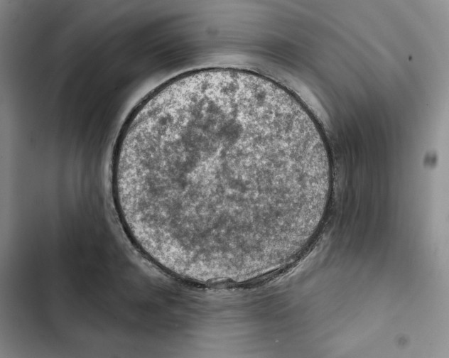 X0000102280944200808221301