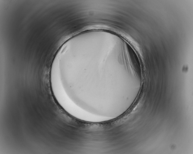 X0000102280945200808221301