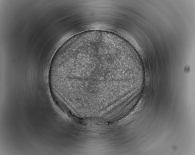 X0000102280946200808221301