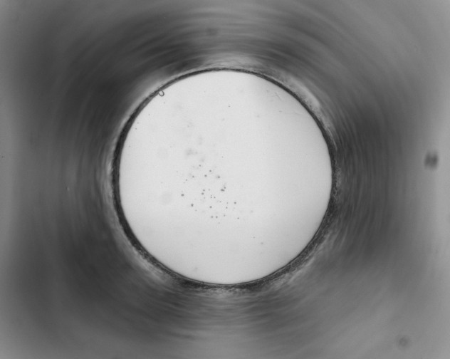 X0000102280947200808221301