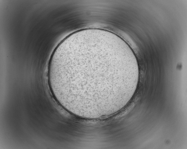 X0000102280948200808221301