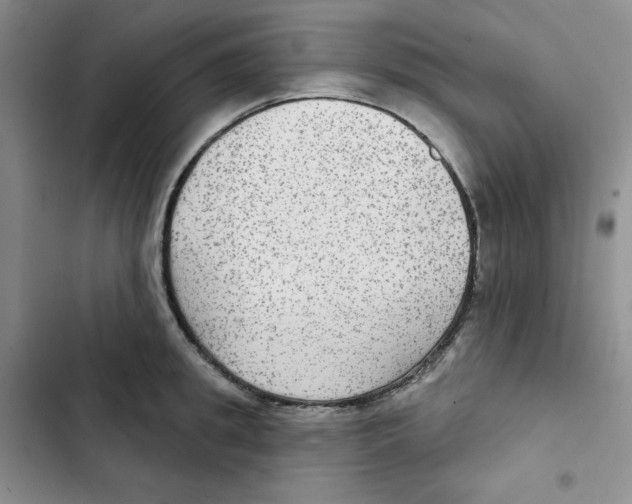 X0000102280949200808221301