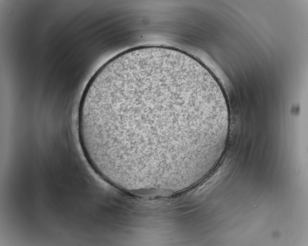 X0000102280951200808221301