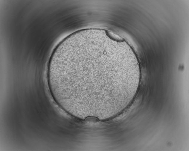 X0000102280952200808221301