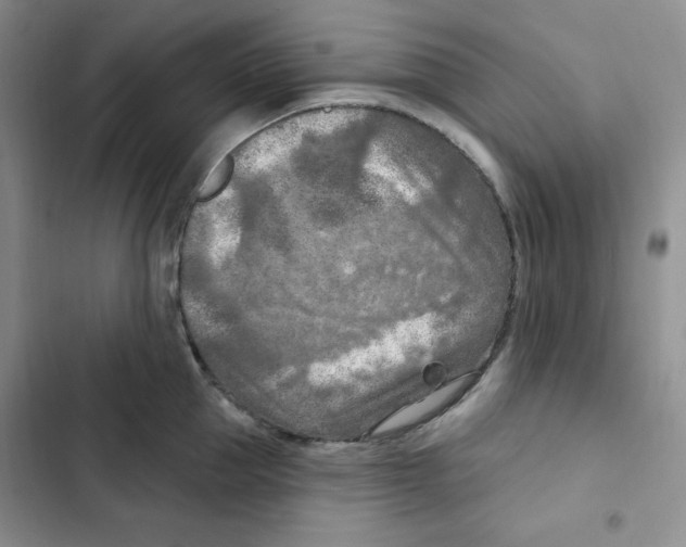 X0000102280953200808221301
