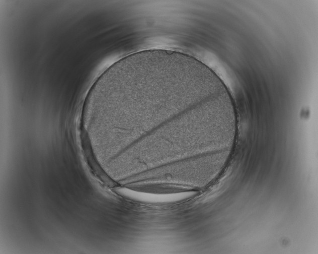 X0000102280954200808221301