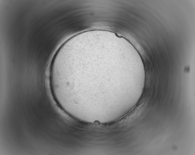 X0000102280955200808221301