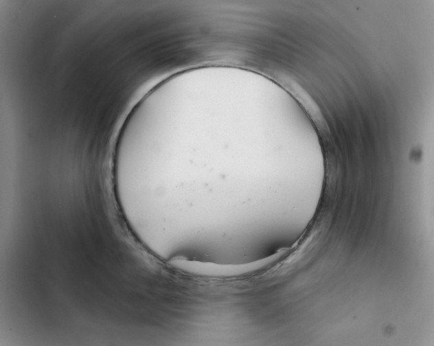 X0000102280956200808221301