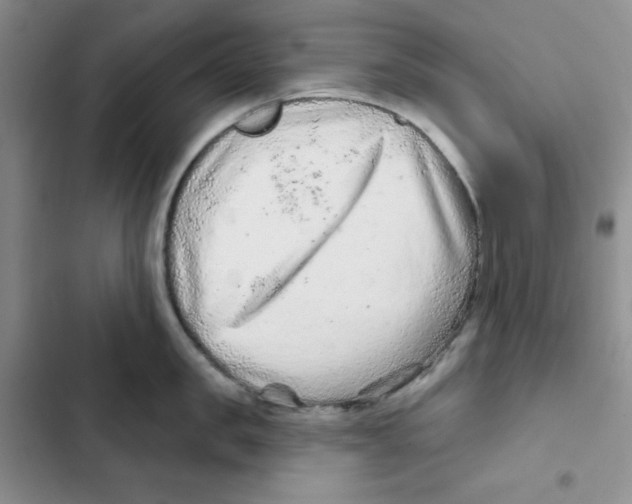 X0000102280957200808221301