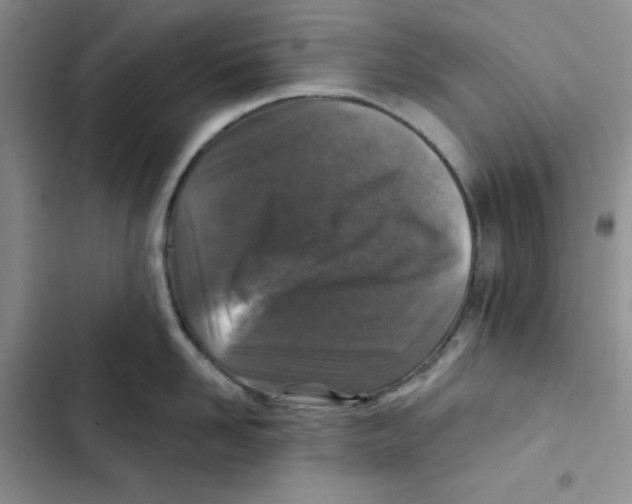 X0000102280958200808221301