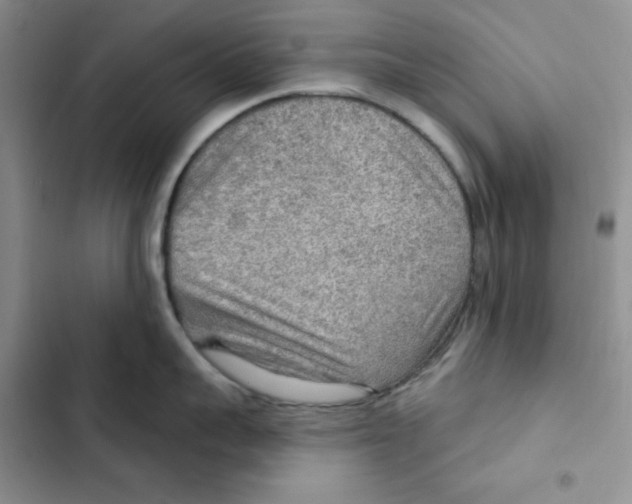 X0000102280959200808221301