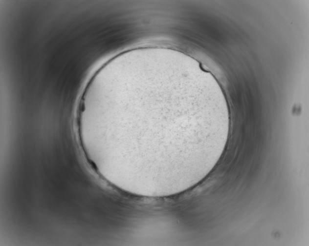 X0000102280960200808221301