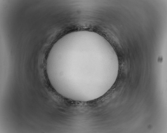 X0000102280961200808221300