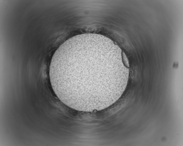 X0000102280962200808221300