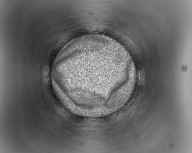 X0000102280963200808221300