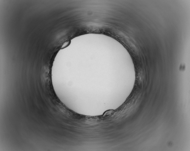 X0000102280964200808221300