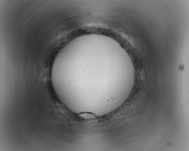 X0000102280965200808221300