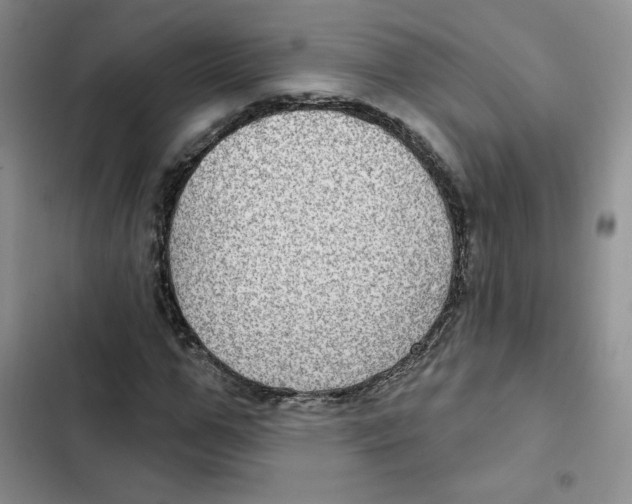 X0000102280967200808221300