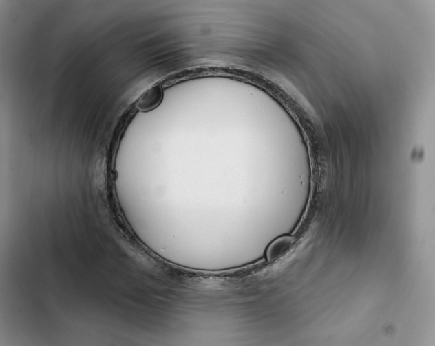 X0000102280969200808221300