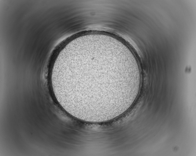 X0000102280971200808221300