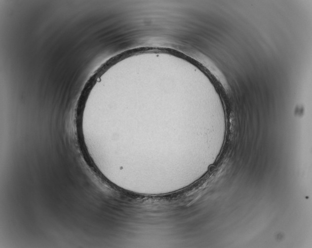 X0000102280972200808221300