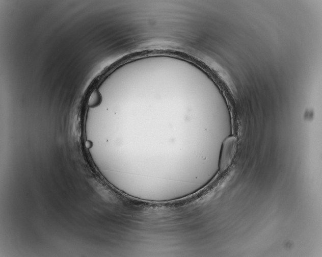 X0000102280973200808221300