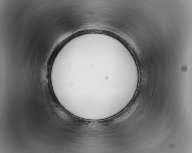 X0000102280974200808221300