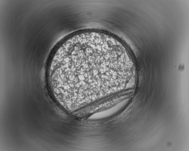 X0000102280975200808221300