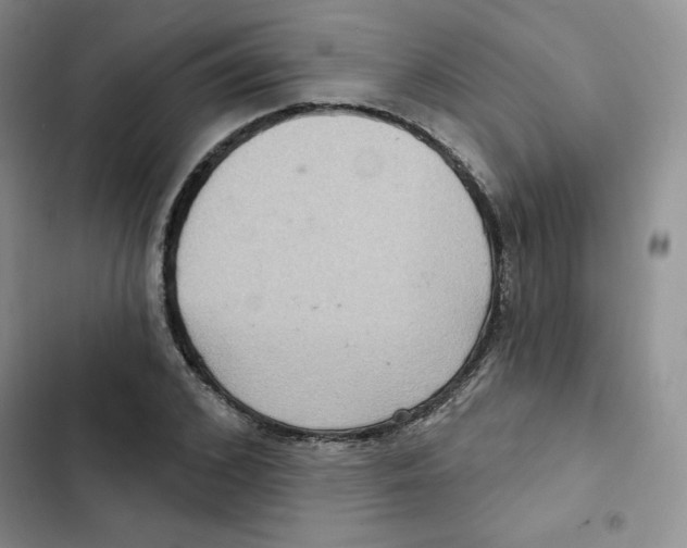 X0000102280976200808221300