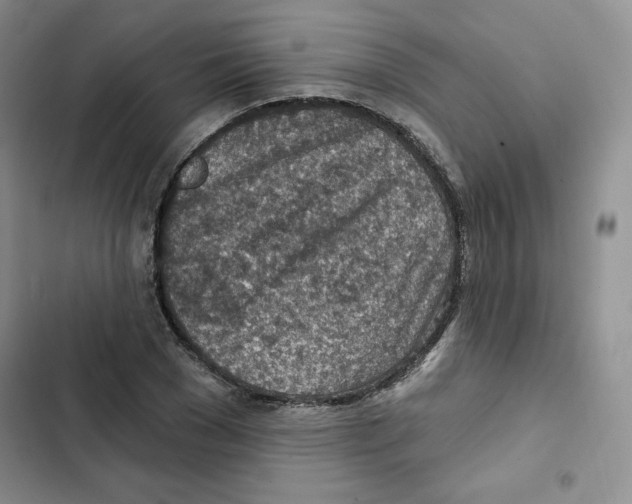 X0000102280977200808221300