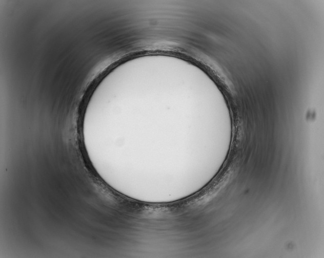 X0000102280978200808221300