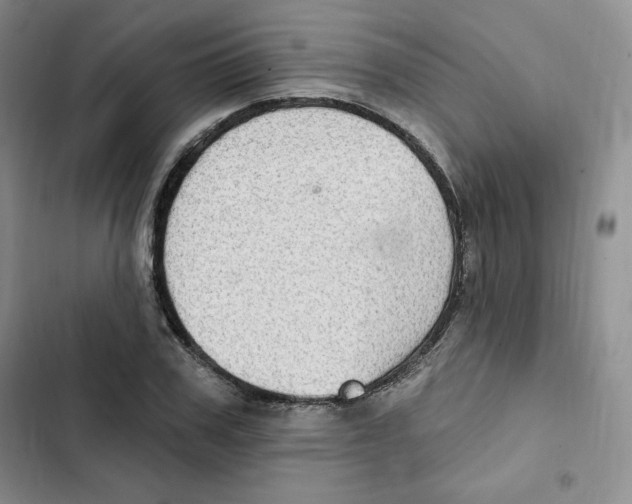 X0000102280979200808221300