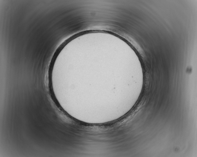 X0000102280980200808221300