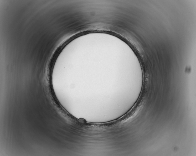 X0000102280981200808221300