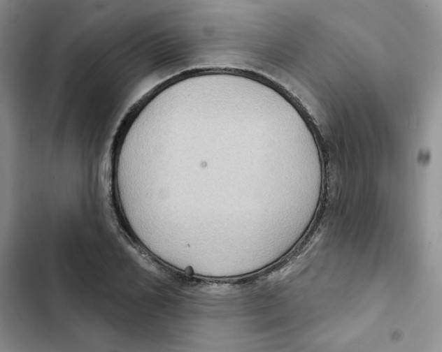 X0000102280982200808221300