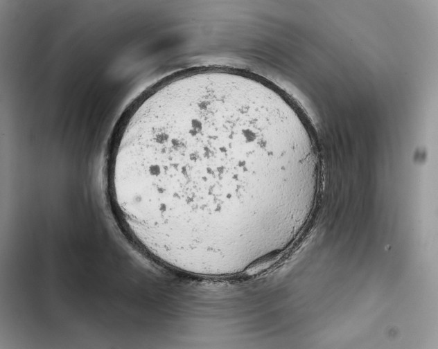 X0000102280983200808221300