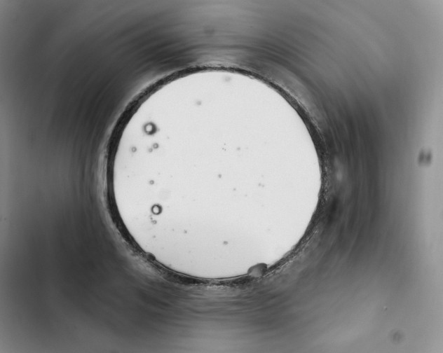 X0000102280984200808221300