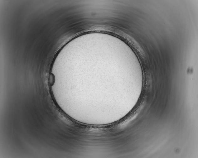 X0000102280985200808221300