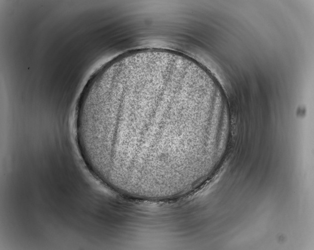 X0000102280987200808221300