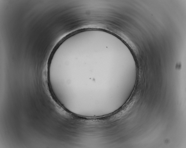 X0000102280988200808221300