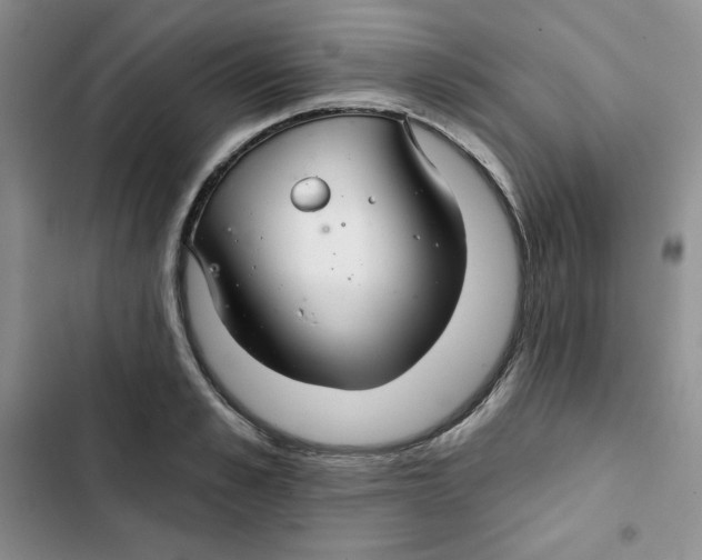 X0000102280989200808221300
