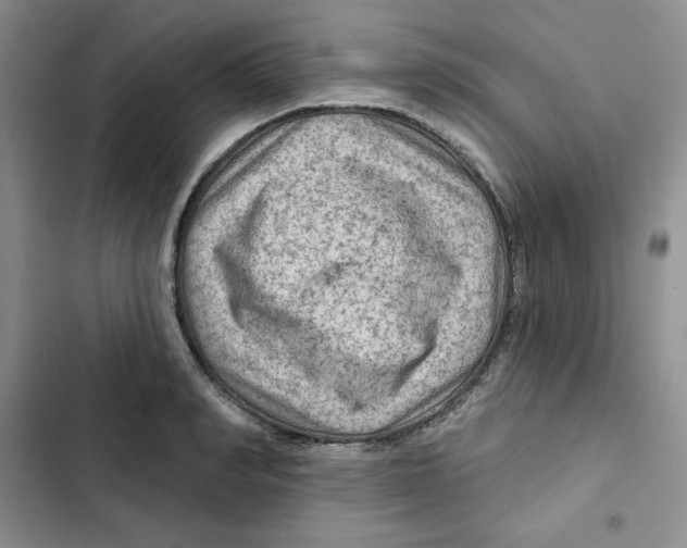 X0000102280990200808221300