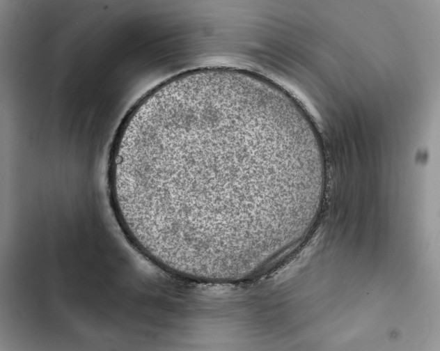 X0000102280991200808221300