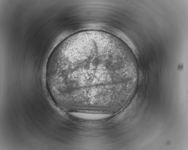 X0000102280994200808221300