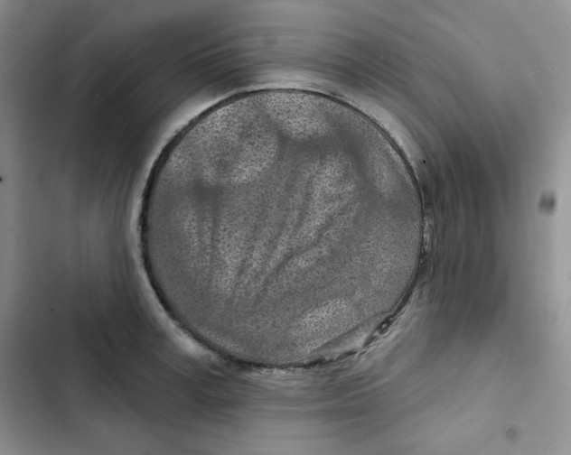 X0000102280995200808221300