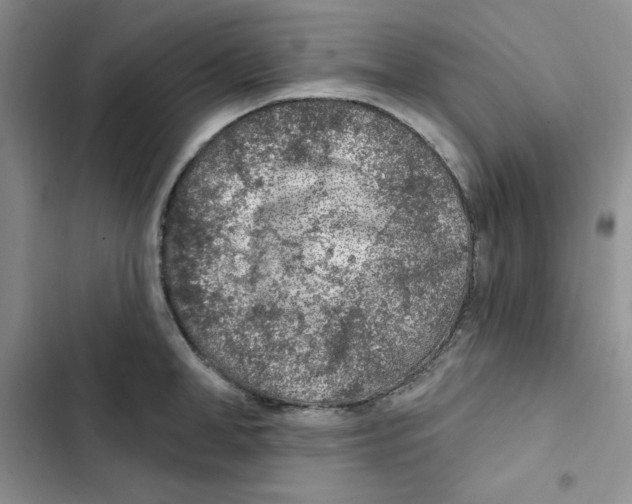 X0000102280998200808221300