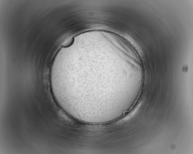 X0000102281001200808221300