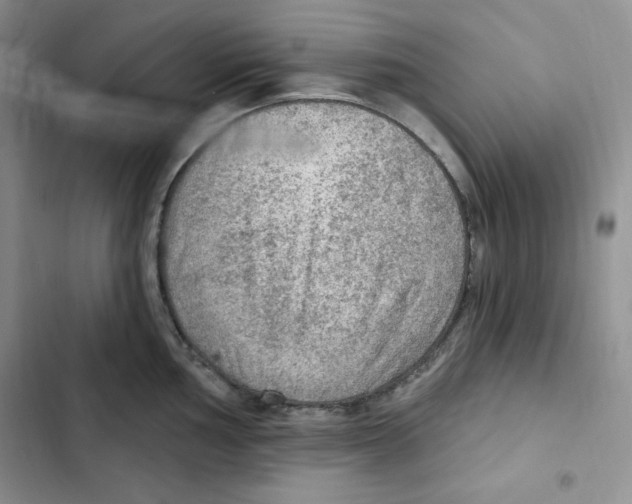 X0000102281002200808221300