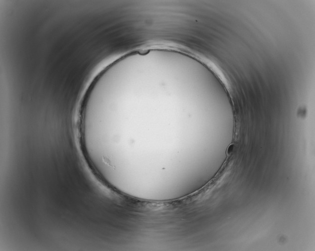 X0000102281003200808221300